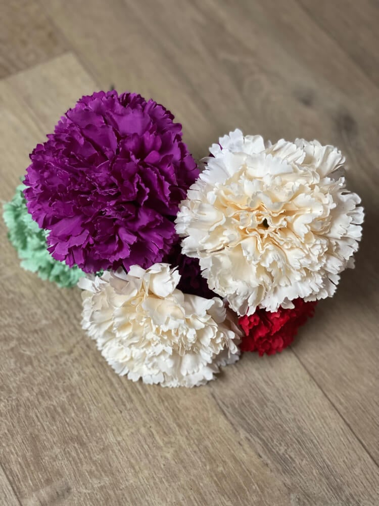 Flor clavel flamenca